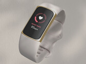 Fitbit pourrait continuer à vendre le Charge 5 pendant quelques mois encore. (Image source : Fitbit)