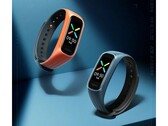 L'Oppo Band Vitality Edition. (Source : OPPO)