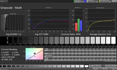 CalMAN Niveaux de gris