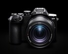 Le Sony RX10 V est équipé d'un zoom optique 25x.