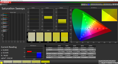 CalMAN Saturation calibrée (espace couleur cible AdobeRGB)