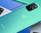 Le OnePlus 8T. (Source : OnePlus)