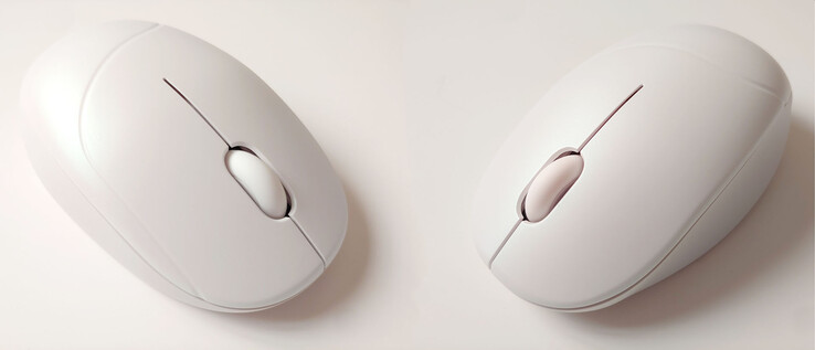 Souris asymétrique pour droitiers. (Source de l'image : Notebookcheck)