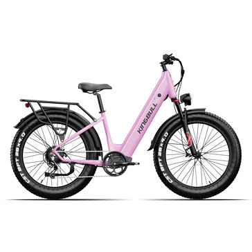 Le Kingbull Discover 2.0 ST est doté d'un cadre en aluminium (Source : Kingbull)