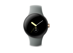 Google a confirmé que les notifications de rythme cardiaque irrégulier ne sont pas disponibles sur la Pixel Watch. (Image source : Google)