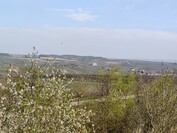 OnePlus 13 - zoom 3x