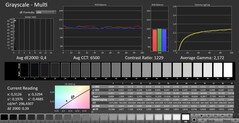 CalMAN : niveaux de gris (calibrés)