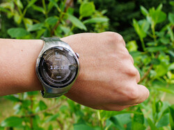 Huawei Watch 5 (Image source : Daniel Schmidt)