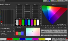 Affichage interne : Gamme de couleurs (profil : professionnel, espace colorimétrique cible : sRGB)