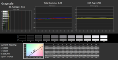 CalMAN - Niveaux de gris (profil Adobe)