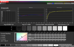 Niveaux de gris CalMAN (après étalonnage)