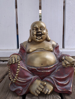 Photo de l'appareil photo selfie