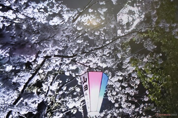 Gradation locale désactivée