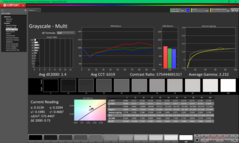 Niveaux de gris avant étalonnage