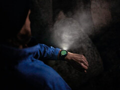 Garmin s'oriente progressivement vers la publication d'un nouveau paquet de mises à jour stables pour ses anciennes smartwatches phares comme la Fenix 7 Pro. (Source de l'image : Garmin)