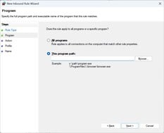 Saisissez le chemin d'accès au fichier UplayWebCore.exe