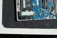 Démontage du HP 255 G10