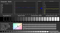 CalMAN : Échelles de gris (calibrées)