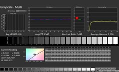 CalMAN : Niveaux de gris (calibrés)