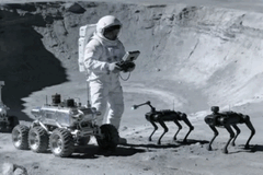 Les ingénieurs chinois estiment que des chiens robots sur la Lune pourraient aider les astronautes.