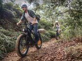 Le vélo ENGWE E26 peut être équipé d'un moteur de 750W. (Source de l'image : ENGWE)