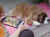 De nombreux joueurs préfèrent encore le Steam Deck malgré son matériel moins performant.