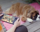 De nombreux joueurs préfèrent encore le Steam Deck malgré son matériel moins performant.