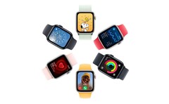 La prochaine Apple Watch SE pourrait être le moment iPhone 5c de la Apple Watch. (Source de l'image : Apple)