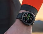 Le logiciel système 13.37 n'est pas la mise à jour que Garmin avait annoncée dans ses dernières versions bêta. (Source de l'image : Garmin)