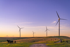 Parc éolien Smokey Hills d'Enel. Photo de référence. (Source de l'image : Enel)