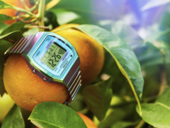 La montre Timex 80 36 mm (photo) avec un bracelet extensible en acier inoxydable. (Source de l'image : Timex)