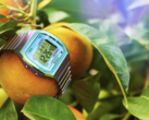La montre Timex 80 36 mm (photo) avec un bracelet extensible en acier inoxydable. (Source de l'image : Timex)
