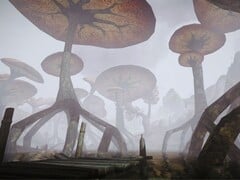 Image tirée du jeu The Elder Scrolls III : Morrowind. (Source de l'image : Tamriel Rebuilt / Bethesda Softworks)