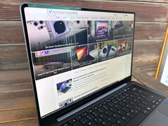 A l'extérieur (journée lumineuse, pas de lumière directe du soleil)