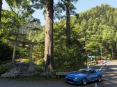 Une capture d'écran montrant le rendu d'un monument japonais dans Forza Horizon 6