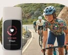 La fonction de tendances inhabituelles de Fitbit utilise des données telles que la fréquence cardiaque et la fréquence respiratoire. (Source de l'image : Fitbit)