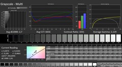 CalMAN : Niveaux de gris