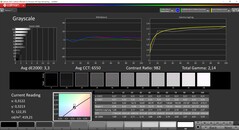 Niveaux de gris CalMAN (profil TrueColor : Display-P3)