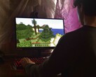 L'image montre une personne jouant à Minecraft sur un PC 