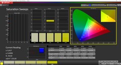 Saturation CalMAN (calibrée)