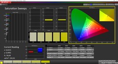 CalMAN - Saturation calibrée