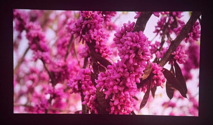 Exemples de qualité d'image (pièce sombre, écran à fort contraste, photographié avec un iPhone 16 Pro)