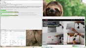 Latence maximale lors de la lecture de séquences vidéo en 4K