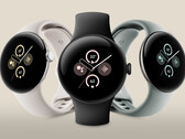 La Pixel Watch 2 dans trois de ses quatre combinaisons de couleurs. (Source de l'image : @evleaks)