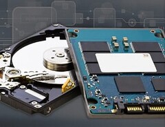 Les disques durs restent les dispositifs préférés pour la sauvegarde des données, tandis que les disques SSD semblent plus appropriés pour le démarrage du système d&#039;exploitation. (Image Source : HostingAdvice)