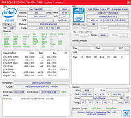 Lenovo ThinkPad T490 - HWiNFO.