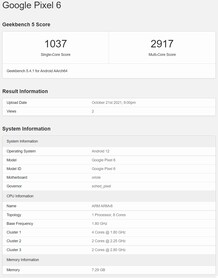 Pixel 6. (Image source : Geekbench)