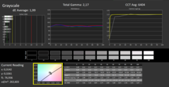Calman ColorChecker : Mode d'affichage DisplayP3 - niveaux de gris