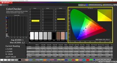 CalMAN ColorChecker (profil : sRGB, espace couleur cible sRGB)