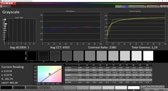 CalMAN - Echelles de gris calibrées